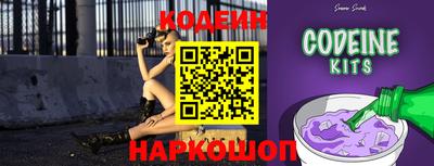 мдпв Кингисепп