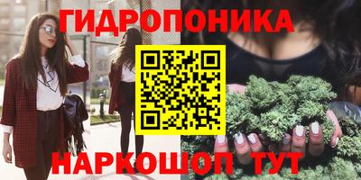 мдпв Кингисепп