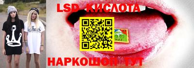мдпв Кингисепп