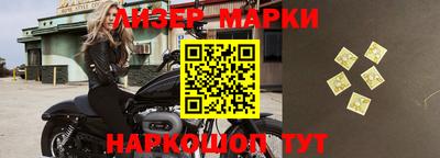 мдпв Кингисепп