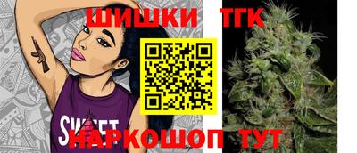 мдпв Кингисепп