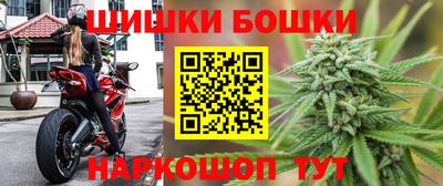 мдпв Кингисепп