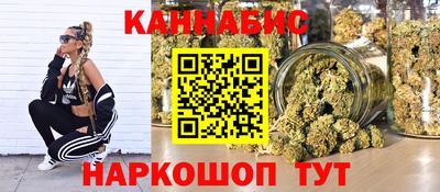 мдпв Кингисепп