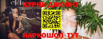 мдпв Кингисепп