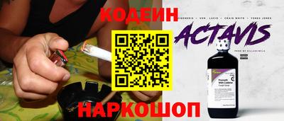 мдпв Кингисепп
