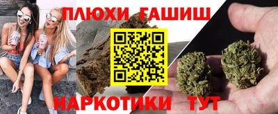 мдпв Кингисепп