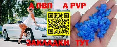мдпв Кингисепп